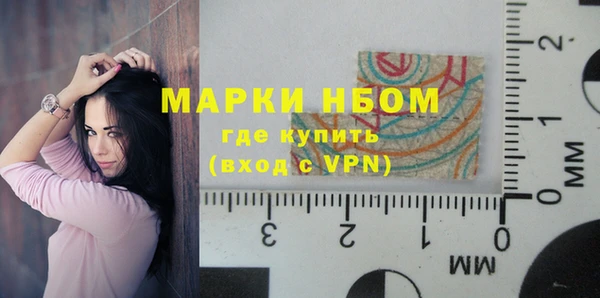 сатива Няндома