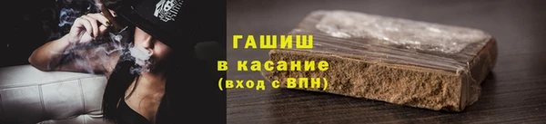 сатива Няндома