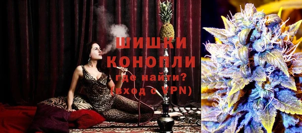сатива Няндома