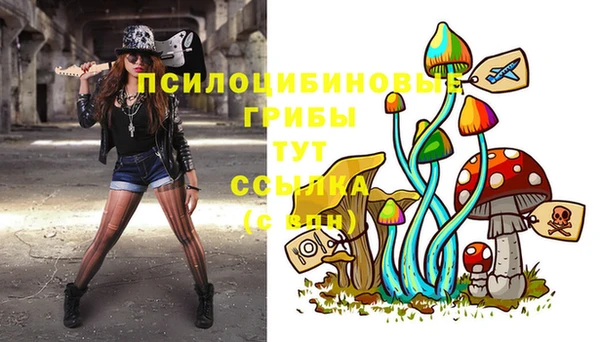 сатива Няндома