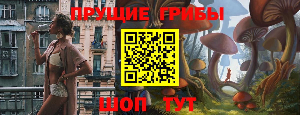 Галлюциногенные грибы Psilocybe Костомукша